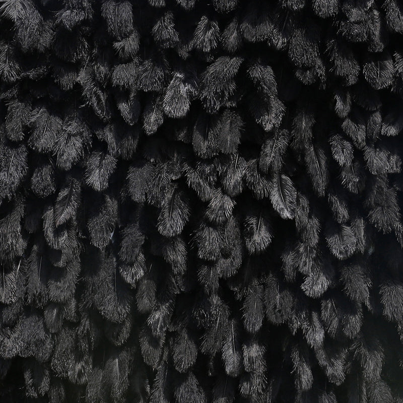 Black Feather Backdrop Wall