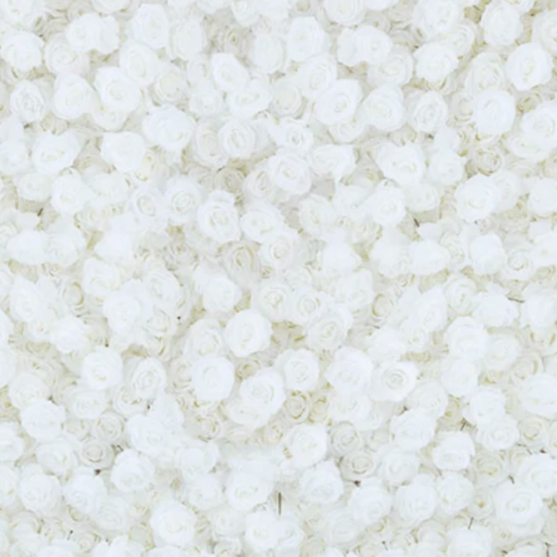 White Roses Flower Backdrop Wall