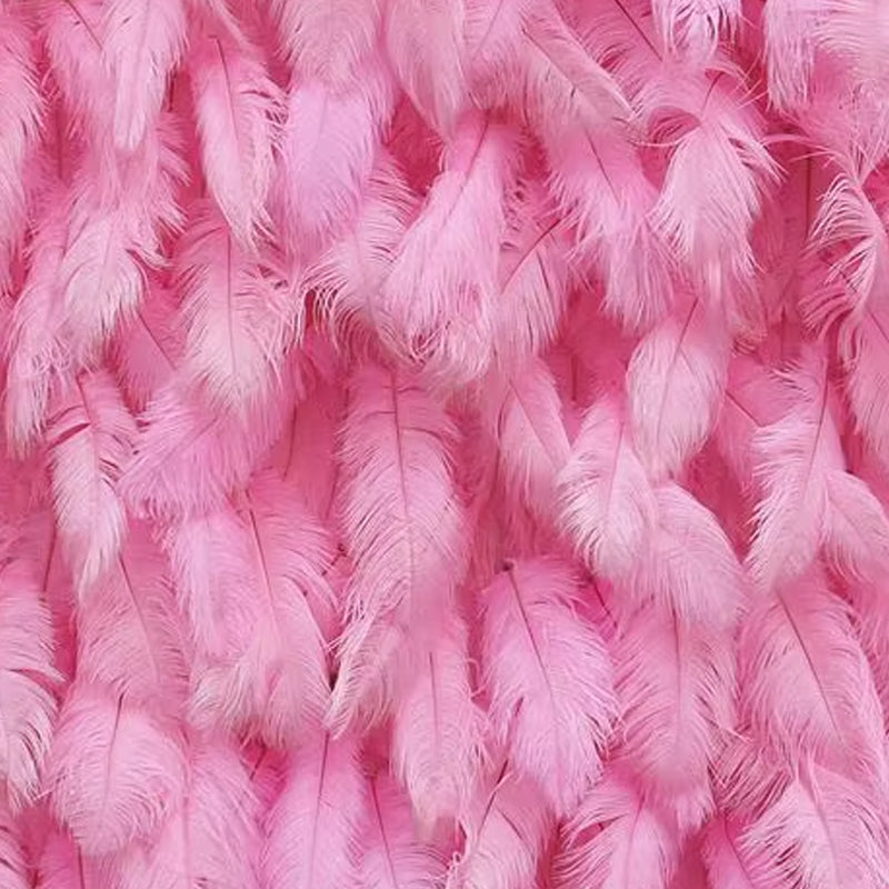 Pink Feather Backdrop Wall
