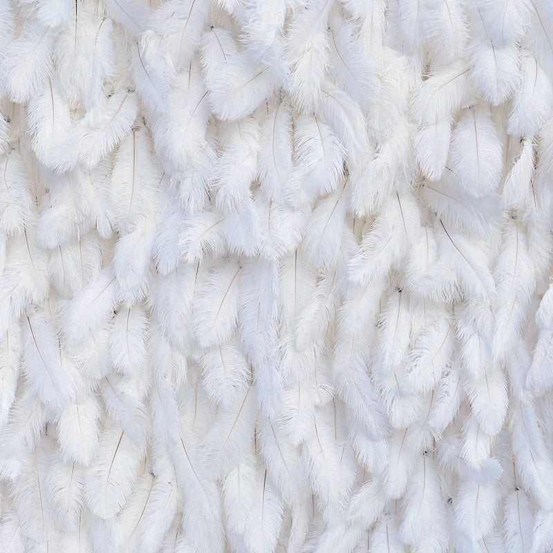 White Feather Backdrop Wall