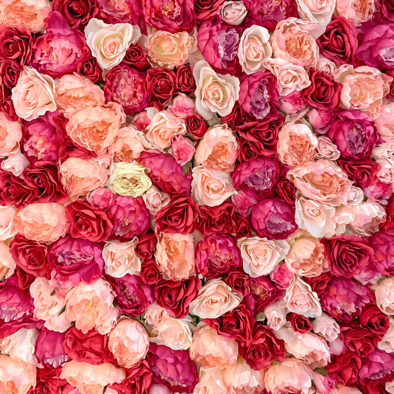 Red Chrysanthemum Backdrop Wall