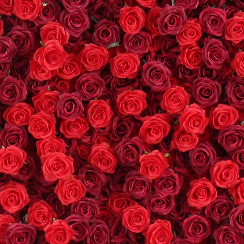 Red Rose Flower Backdrop Wall