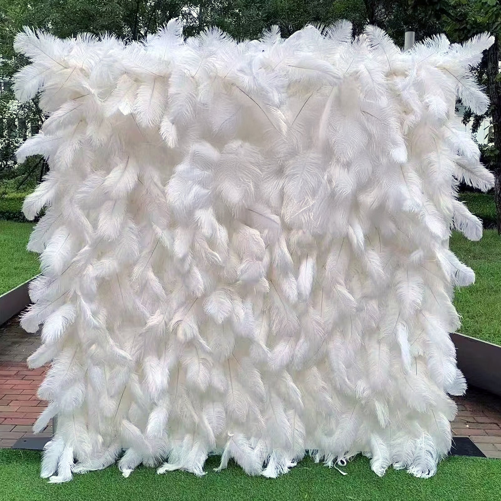 White Feather Backdrop Wall